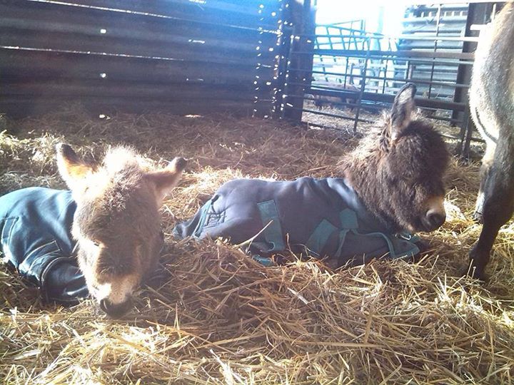 January Open Days
